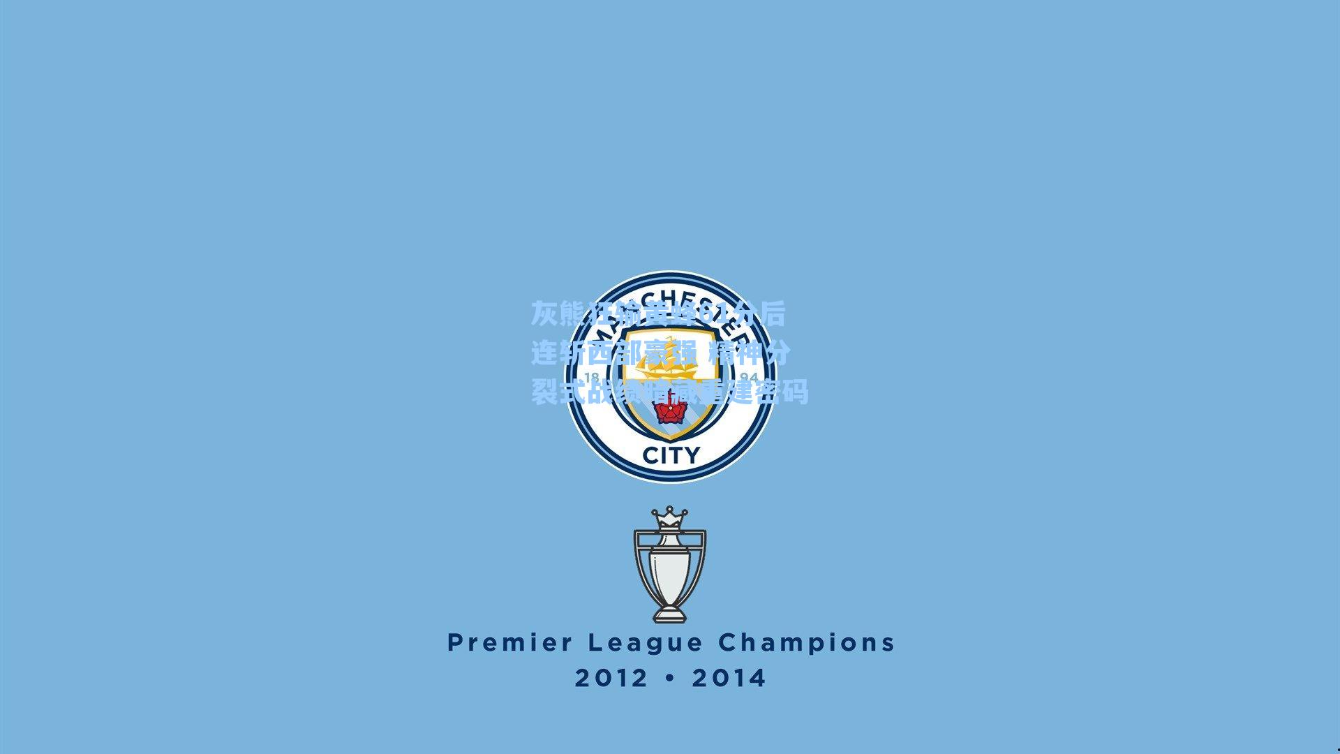 灰熊狂输黄蜂61分后连斩西部豪强 精神分裂式战绩暗藏重建密码